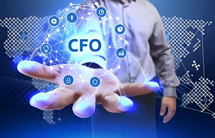 Why Internal Teams Struggle Without a Virtual CFO