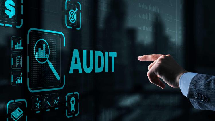 Audit Requirements For Private Limited Company: An Overview