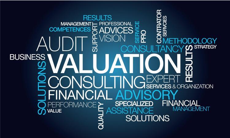 Benefits of Hiring a Business Valuation Consultant for Startups and SMEs
