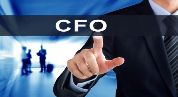 How a Virtual CFO Fits Into Your Existing Financial Team